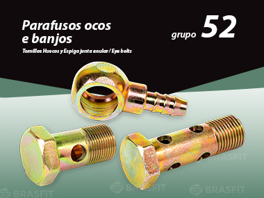 Parafusos Ocos e Banjos