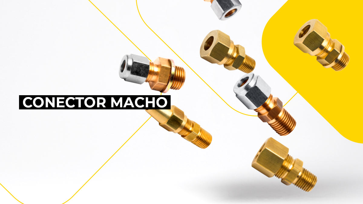 Conector-Macho Conector-Macho